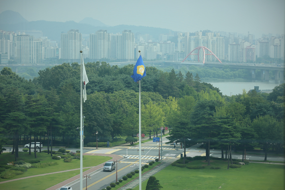 정치/국회/깃발