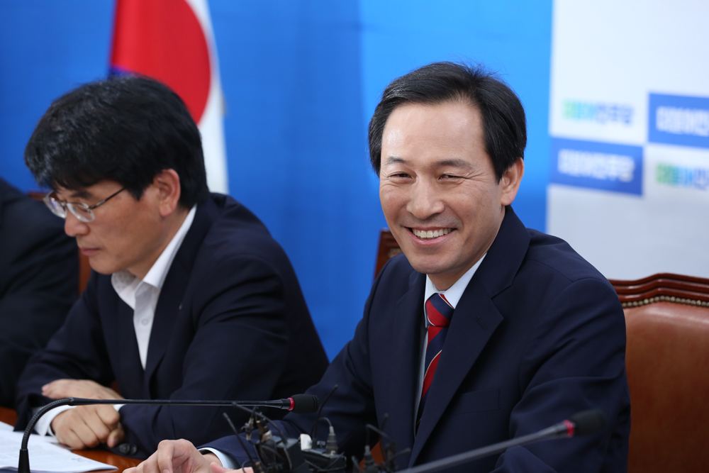 정치/국회/더민주당/더불어민주당/우상호/정책
