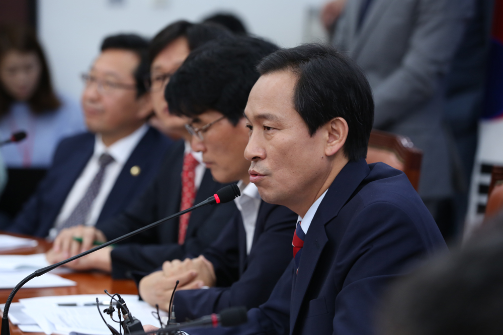 정치/국회/더민주당/더불어민주당/우상호/정책