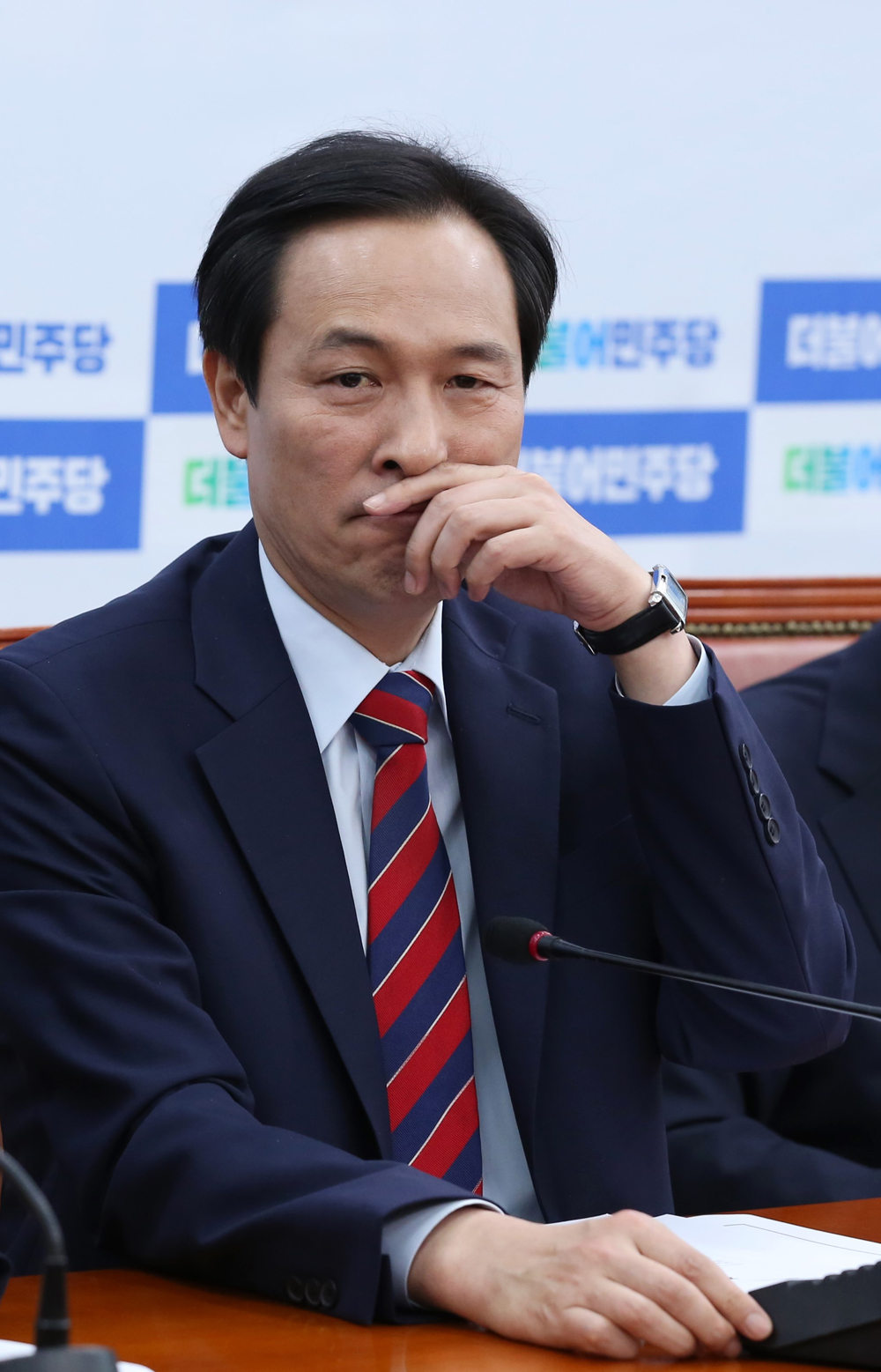 정치/국회/더민주당/더불어민주당/우상호/정책