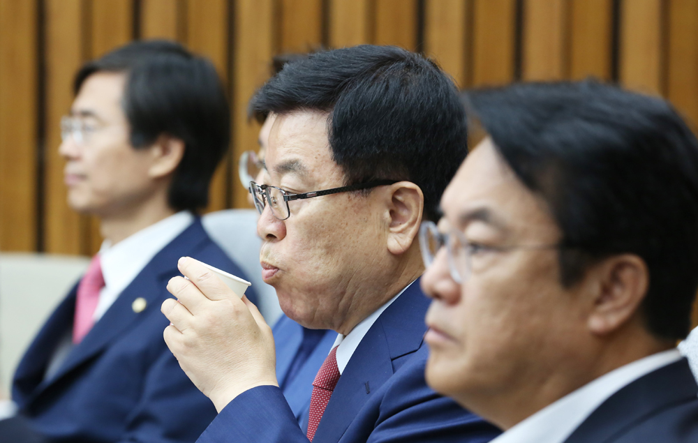 정치/국회/새누리당/정진석/원내대책회의/김광