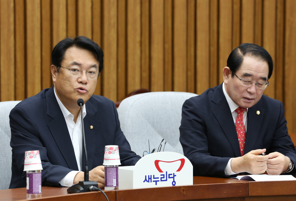 정치/국회/새누리당/정진석/원내대책회의