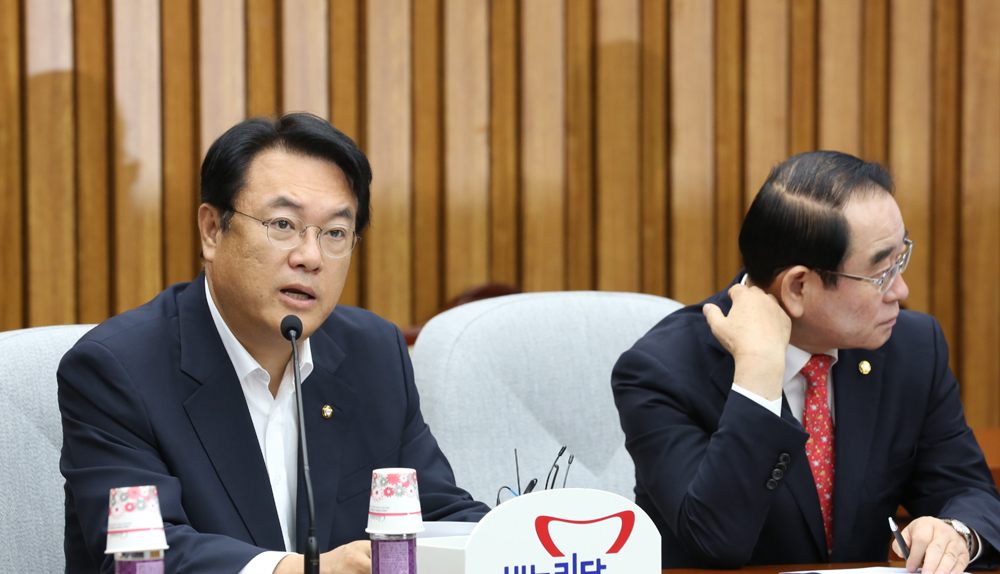 정치/국회/새누리당/정진석/원내대책회의