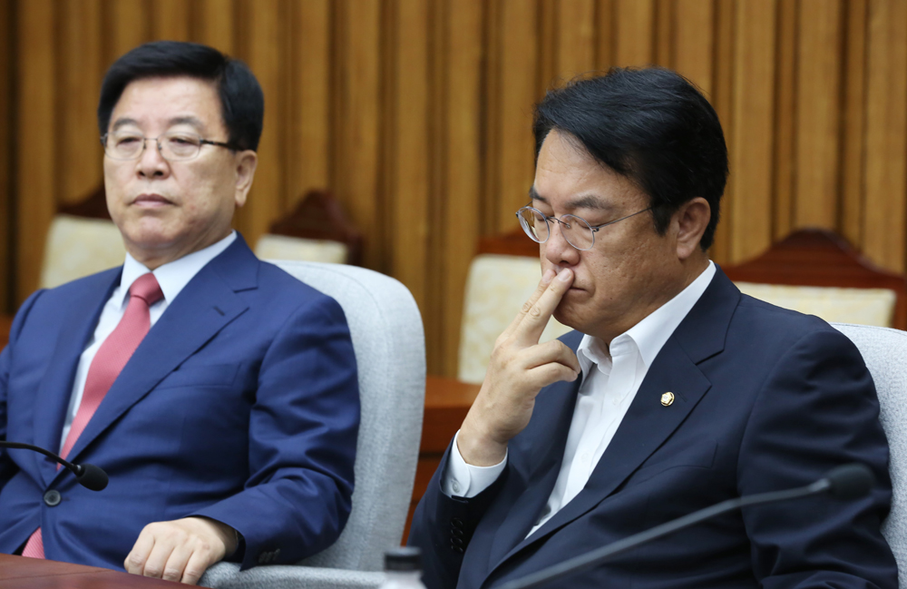 정치/국회/새누리당/정진석/원내대책회의