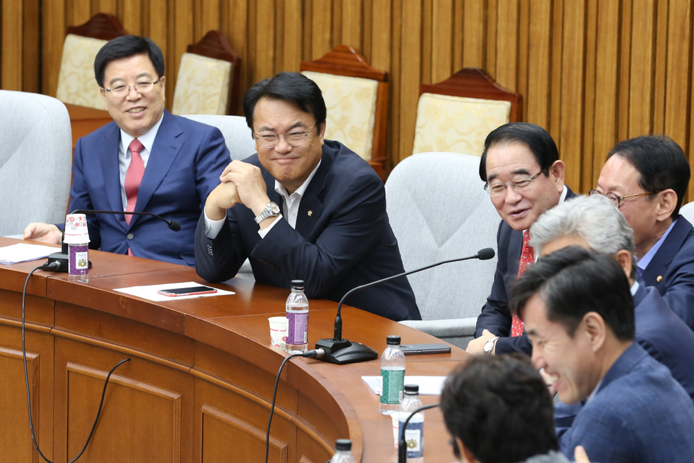 정치/국회/새누리당/정진석/원내대책회의