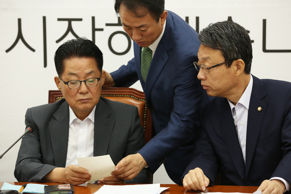 정치/국회/국민의당/비상대책위원회의/박지원