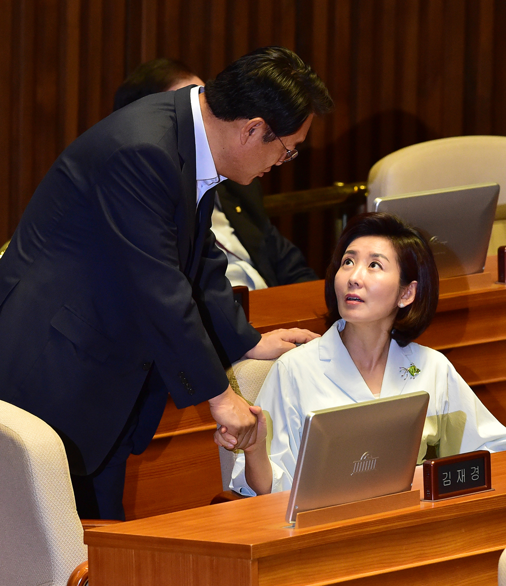 정치/국회/사드배치/긴급현안질문/질문자/