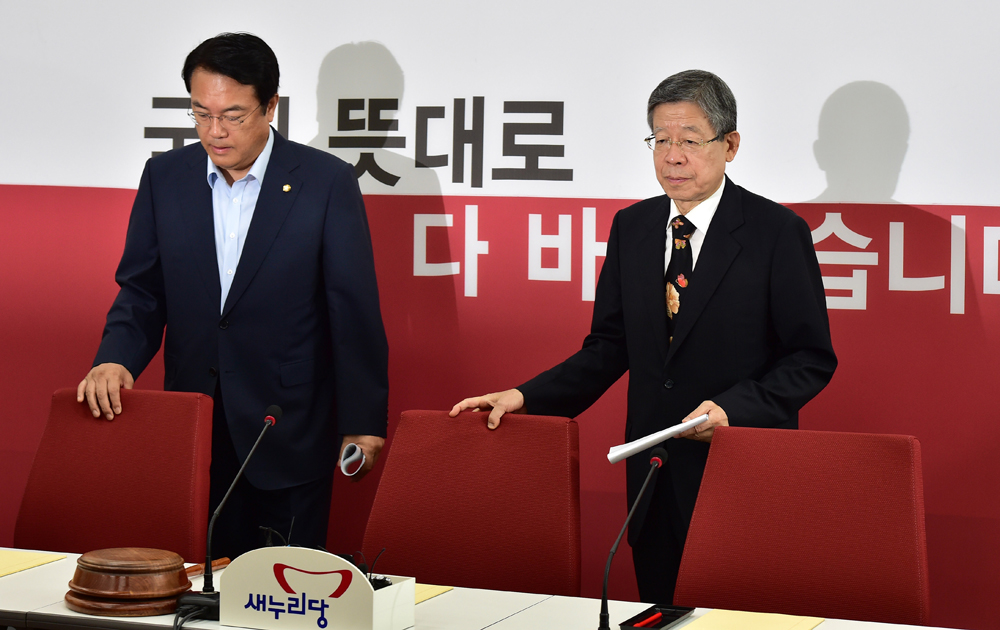 정치/새누리당/혁신비상대책위원회/김희옥/정진