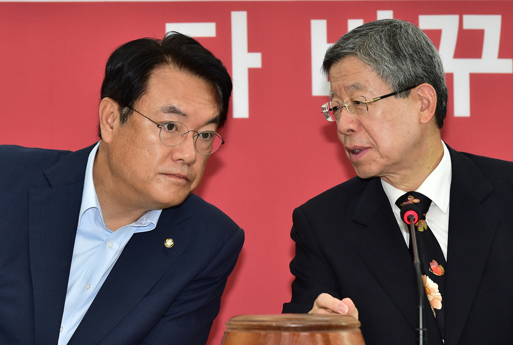 정치/새누리당/혁신비상대책위원회/김희옥/정진