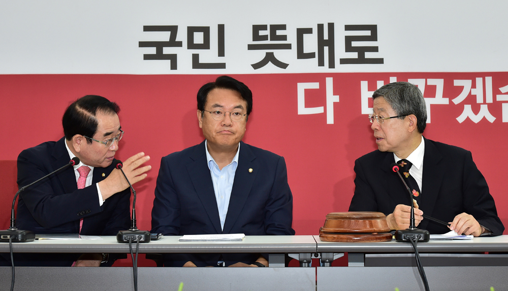 정치/새누리당/혁신비상대책위원회/김희옥/정진