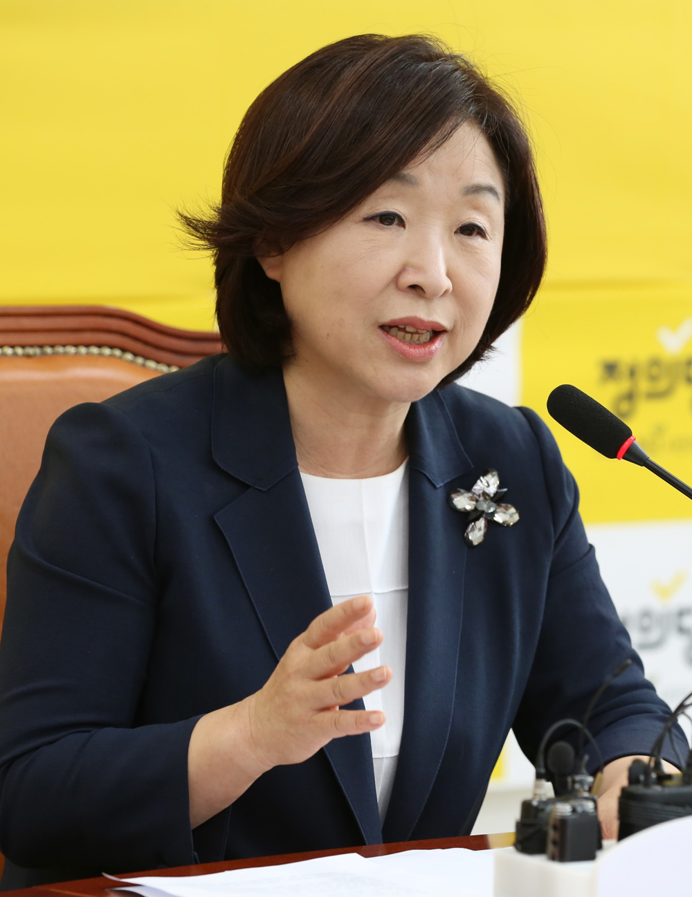 정치/국회/정의당/심상정