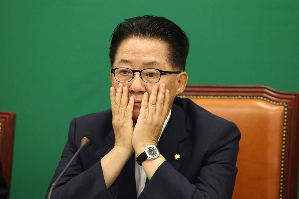 정치/국회/국민의당/비상대책위원회/박지원