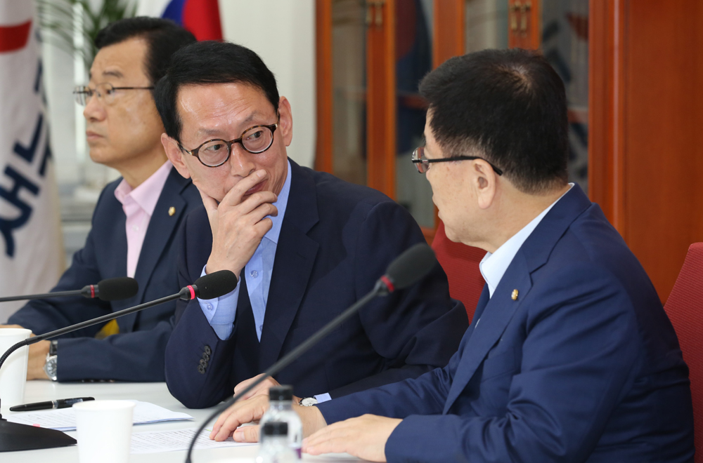 정치/국회/새누리당/원내대책회의