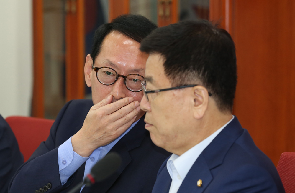 정치/국회/새누리당/원내대책회의