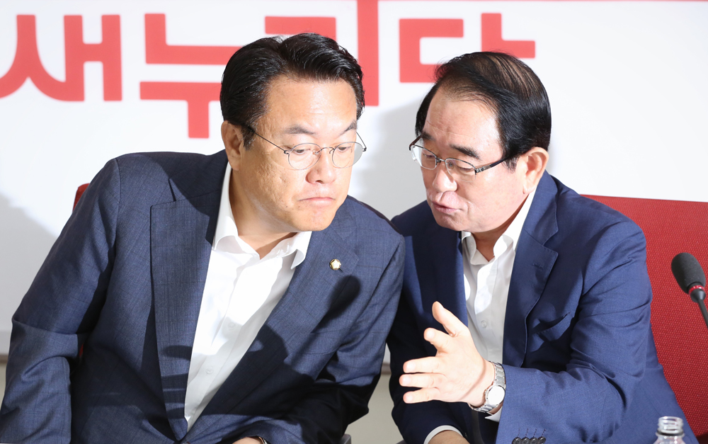 정치/국회/새누리당/원내대책회의