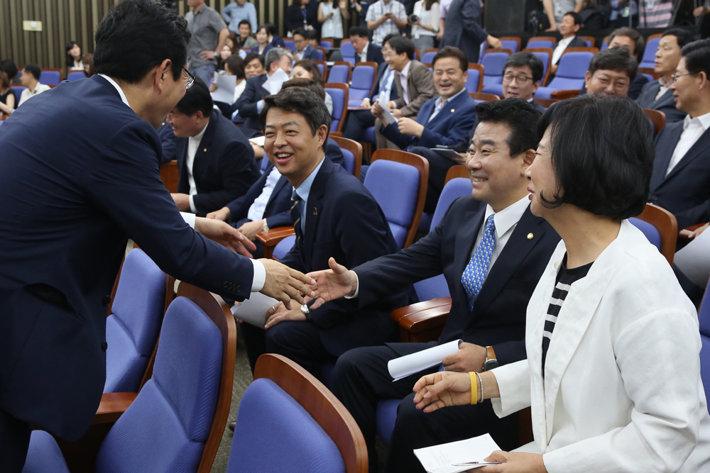 정치/국회/더민주당/더불어민주당/의원총회/의