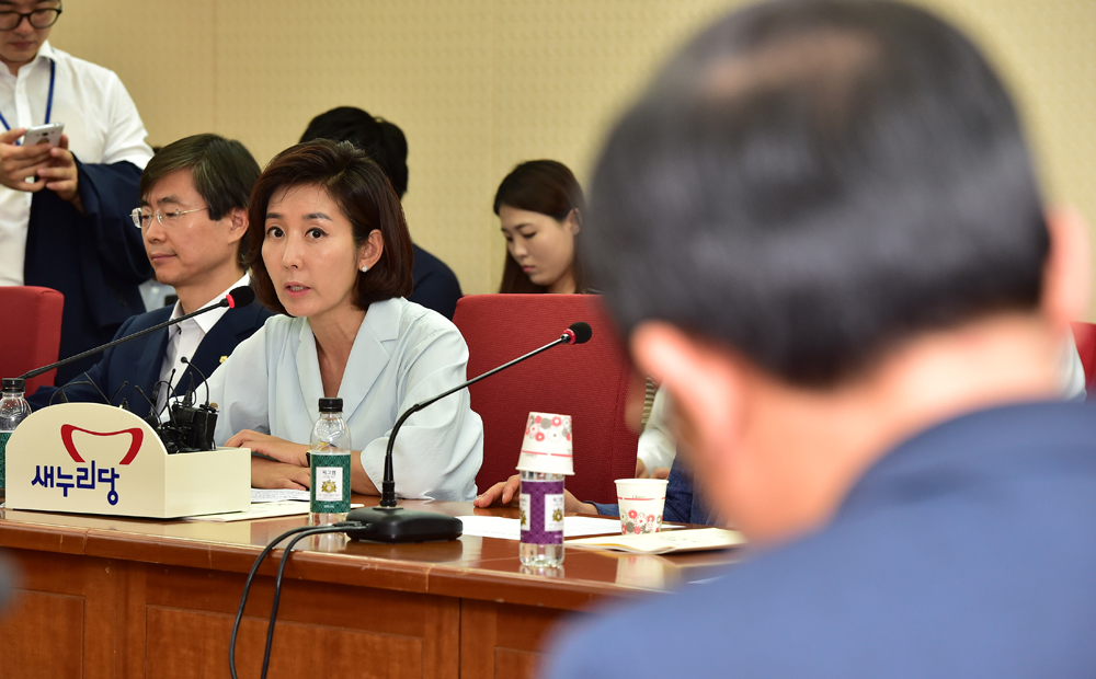 정치/국회/새누리당/최고위원중진의원/나경원