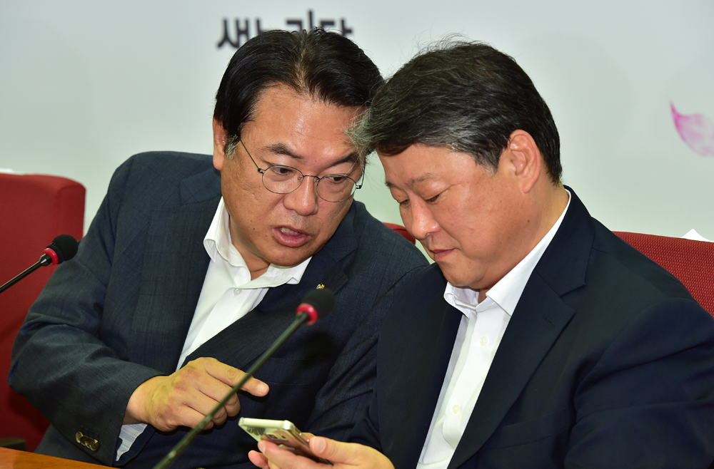 정치/국회/새누리당/최고위원중진의원/정진석