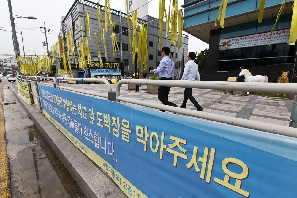 사회/이슈/도막/경마/화상경마/용산화상경마장/