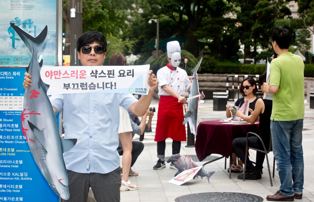 샥스핀 / 샥스폰요리 반대 / 환경운동연합 샥스