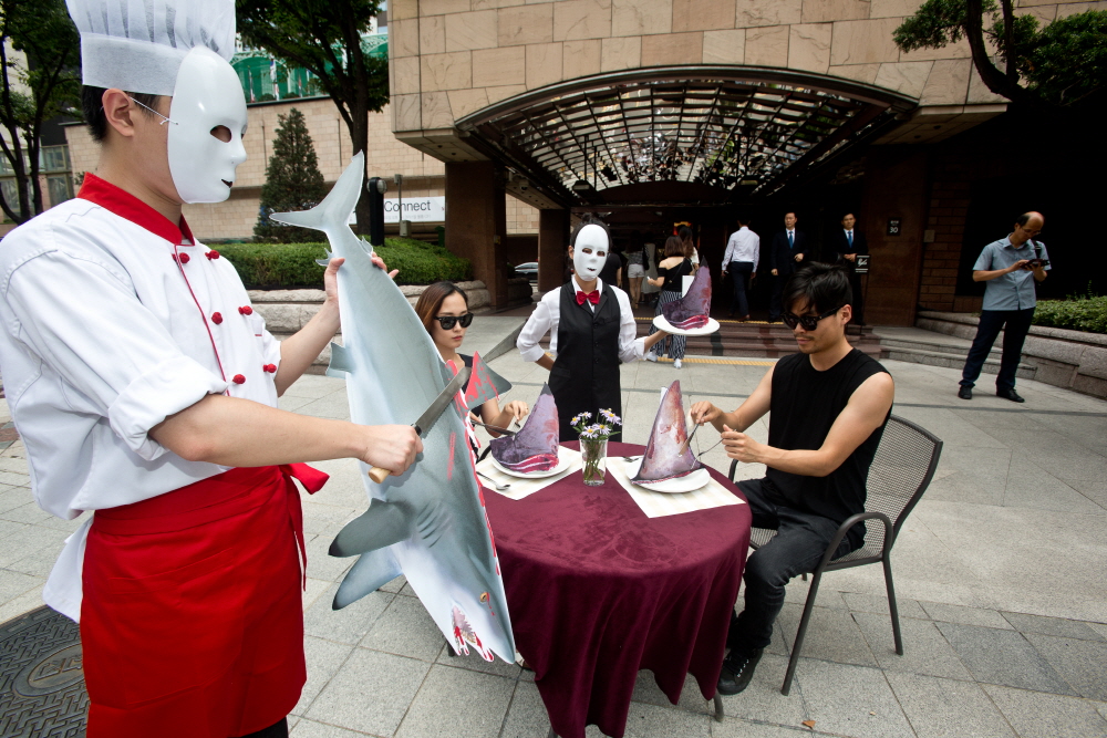 샥스핀 / 샥스폰요리 반대 / 환경운동연합 샥스