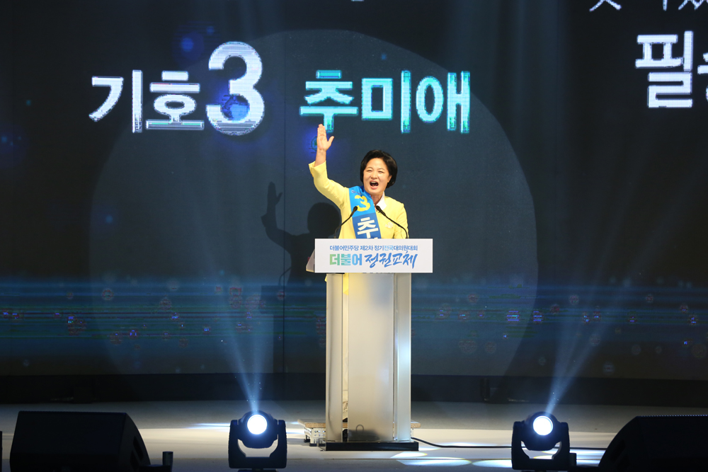 정치/국회/더민주당/더불어민주당/정기전국대의