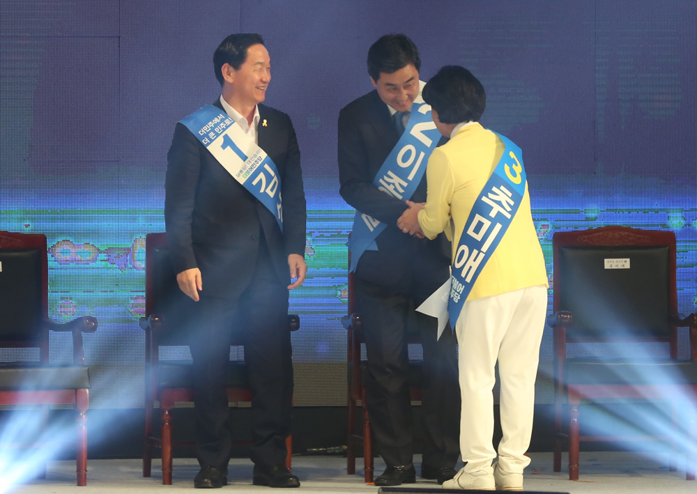 정치/국회/더민주당/더불어민주당/정기전국대의