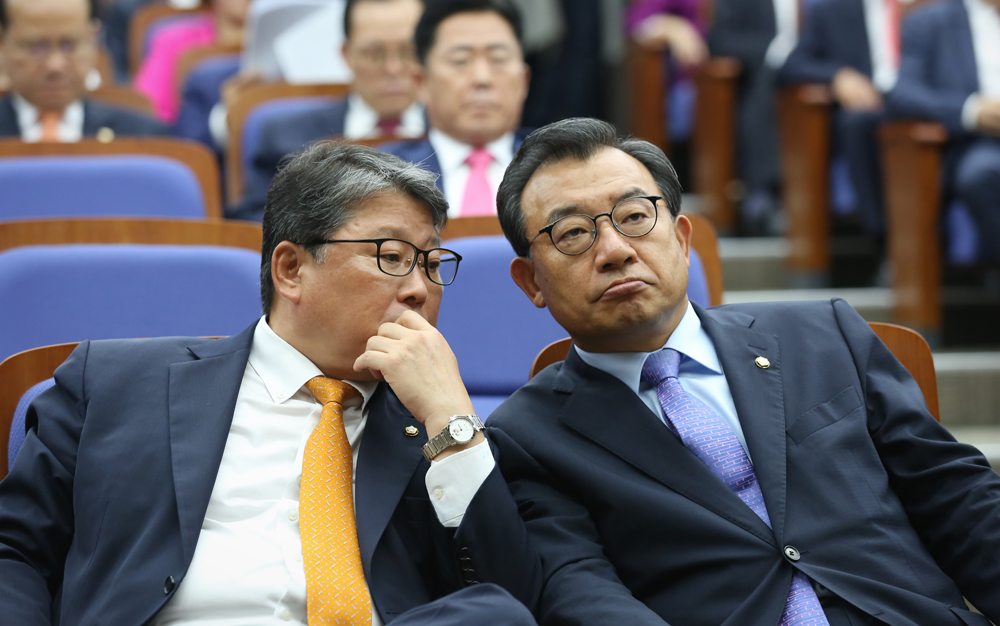 정치/국회/새누리당/의원총회/이정현