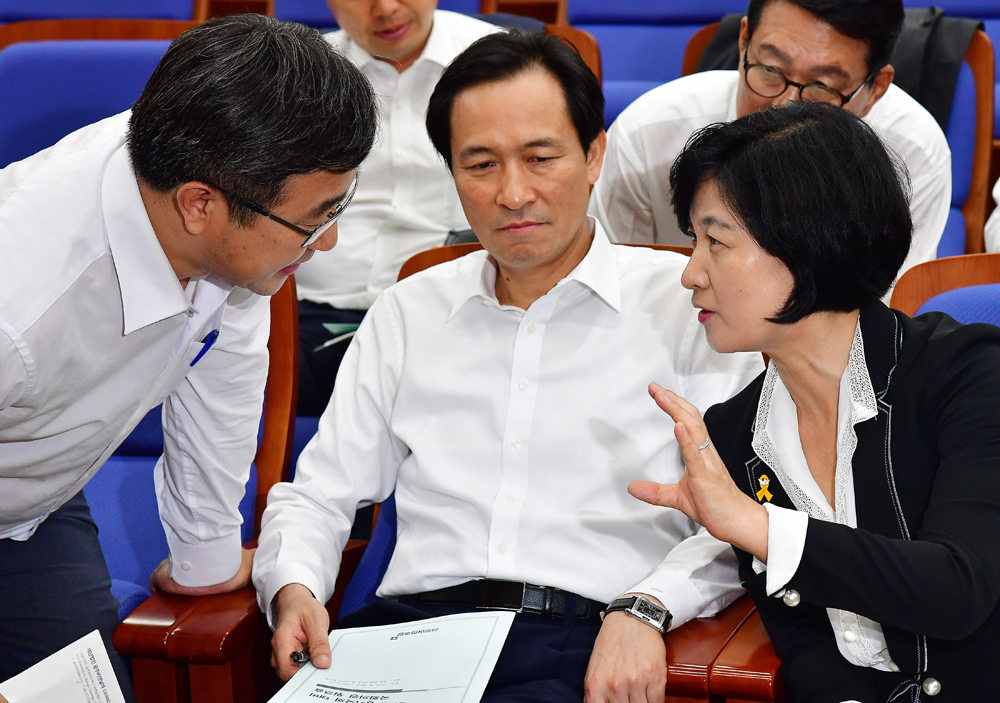 정치/국회/더불어민주당/추미애/우상호/의원워