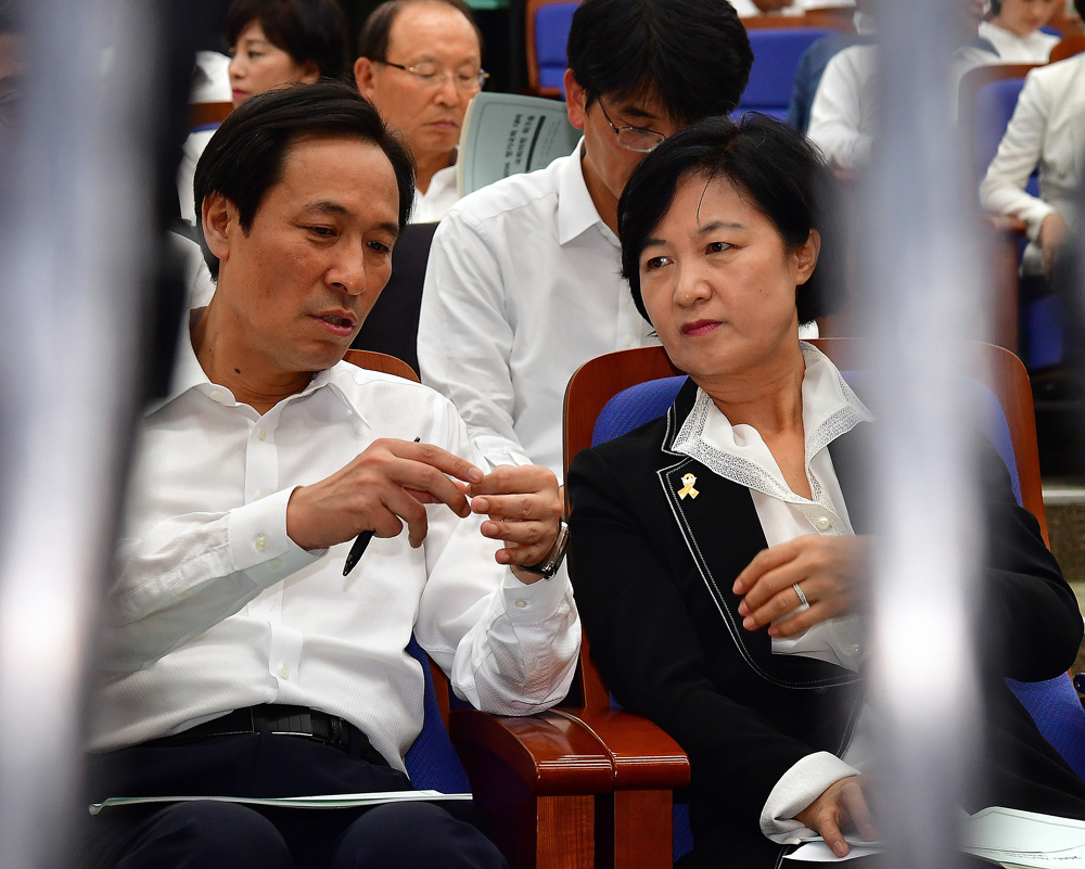 정치/국회/더불어민주당/추미애/우상호/의원워