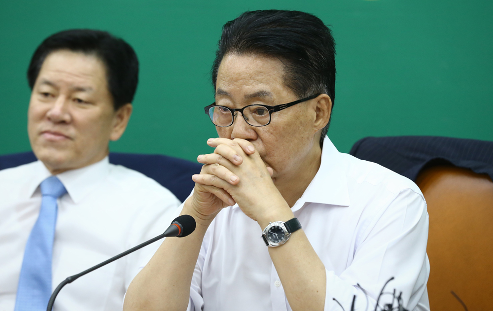 정치/국회/국민의당/박지원/비상대책위원회의