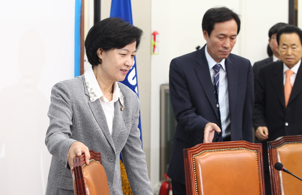 정치/국회/더민주당/더불어민주당/추미애