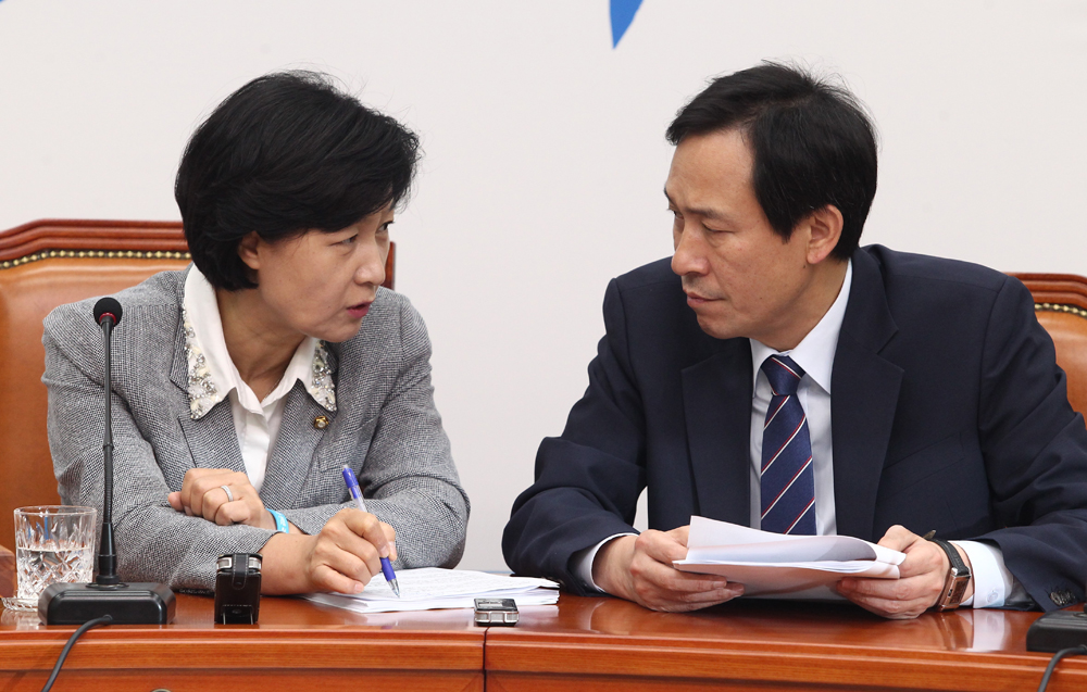 정치/국회/더민주당/더불어민주당/추미애