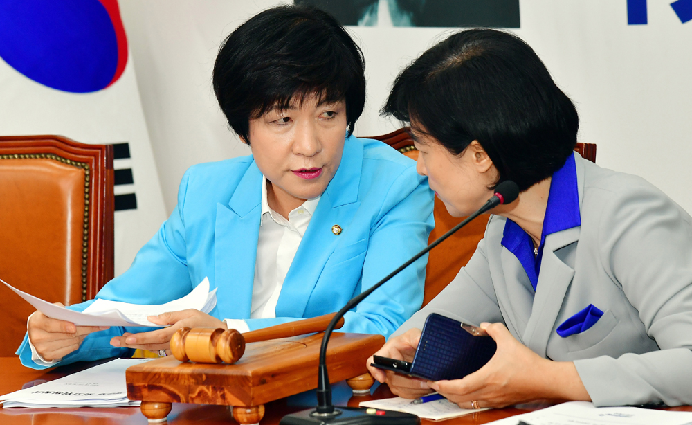 정치/국회/더불어민주당/추미애/최고위원회의