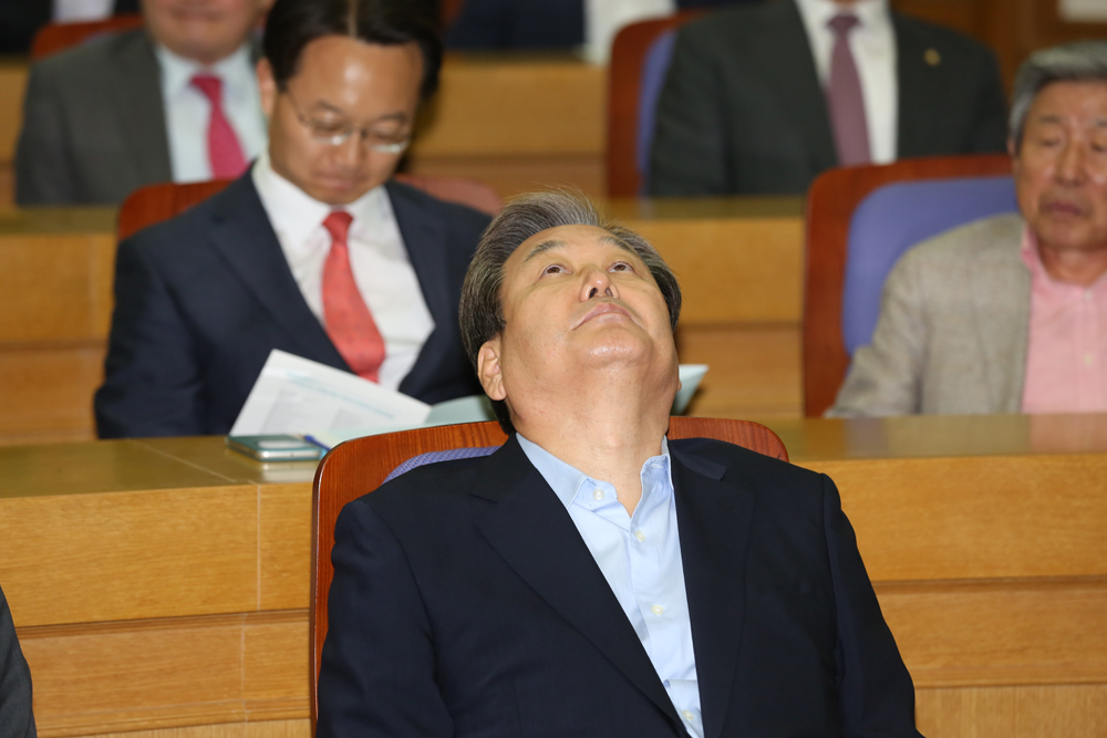 정치/국회/헌법개정국민주권회의/국민주권회의/
