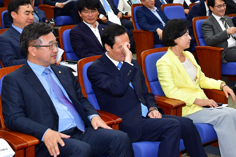 정치/국회/더민주당/더불어민주당/의원총회/추