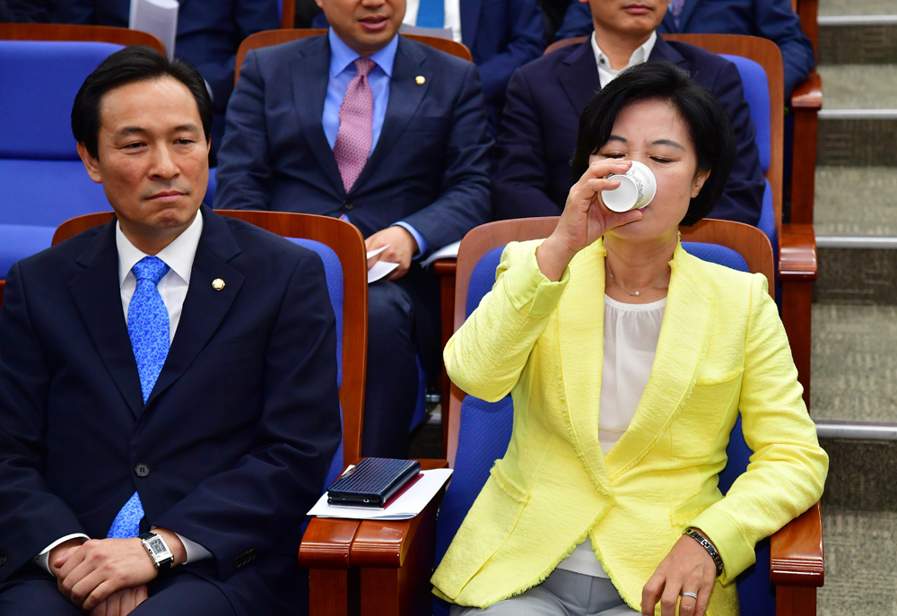 정치/국회/더민주당/더불어민주당/의원총회/추