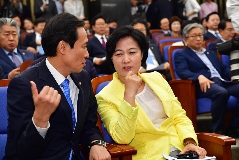 정치/국회/더민주당/더불어민주당/의원총회/추