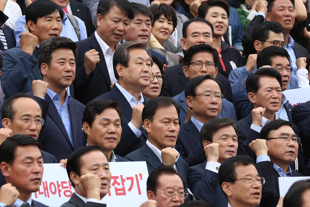 정치/국회/새누리당/,정치/국회/새누리당/이정현/