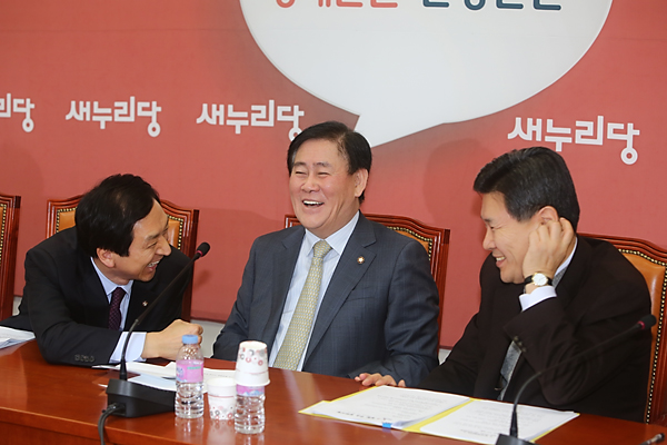 정치/국회/국회의원/정당/새누리당/원내대책회