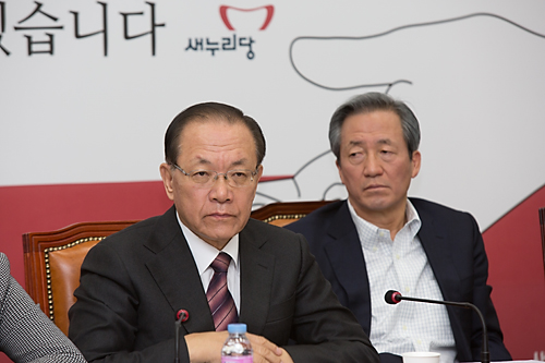 정치/정당/새누리당/최고중진연석회의