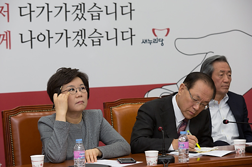 정치/정당/새누리당/최고중진연석회의