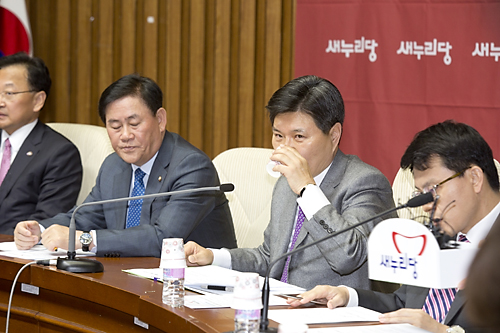 정치/정당/새누리당/원내대책회의